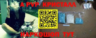 спиды Новозыбков