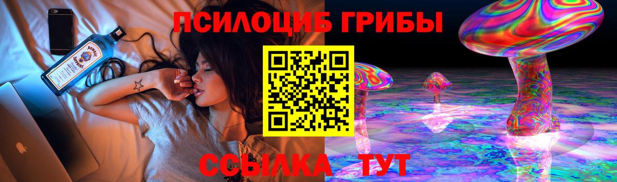 Галлюциногенные грибы Magic Shrooms  Вход с VPN  Балашов  Галлюциногенные грибы GOLDEN TEACHER 